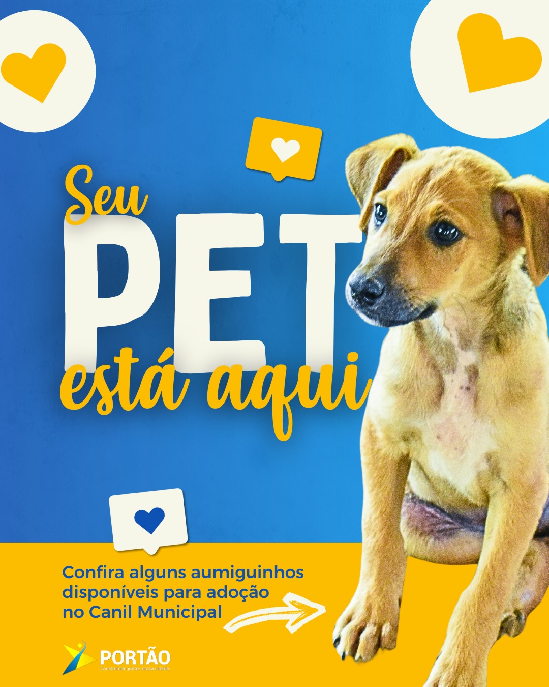 Postagem feita no Instagram da Prefeitura