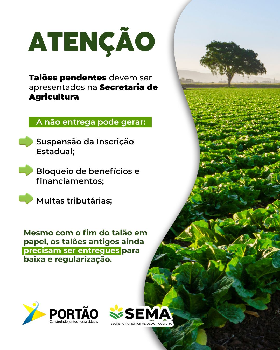 Postagem feita no Instagram da Prefeitura