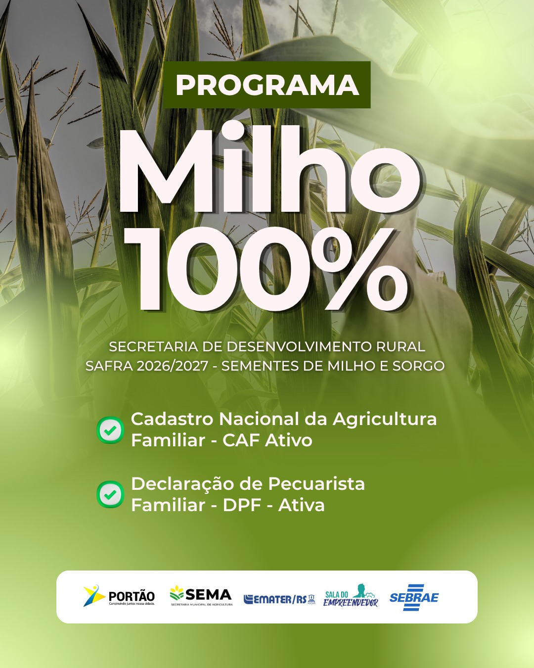 Postagem feita no Instagram da Prefeitura
